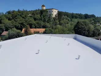 Střechy